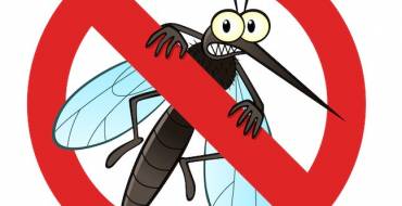 Tájékoztatás földi szúnyoggyérítésről